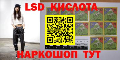 ешки Сланцы