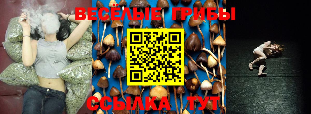 Галлюциногенные грибы Psilocybine cubensis  Вход с VPN  Саратов 